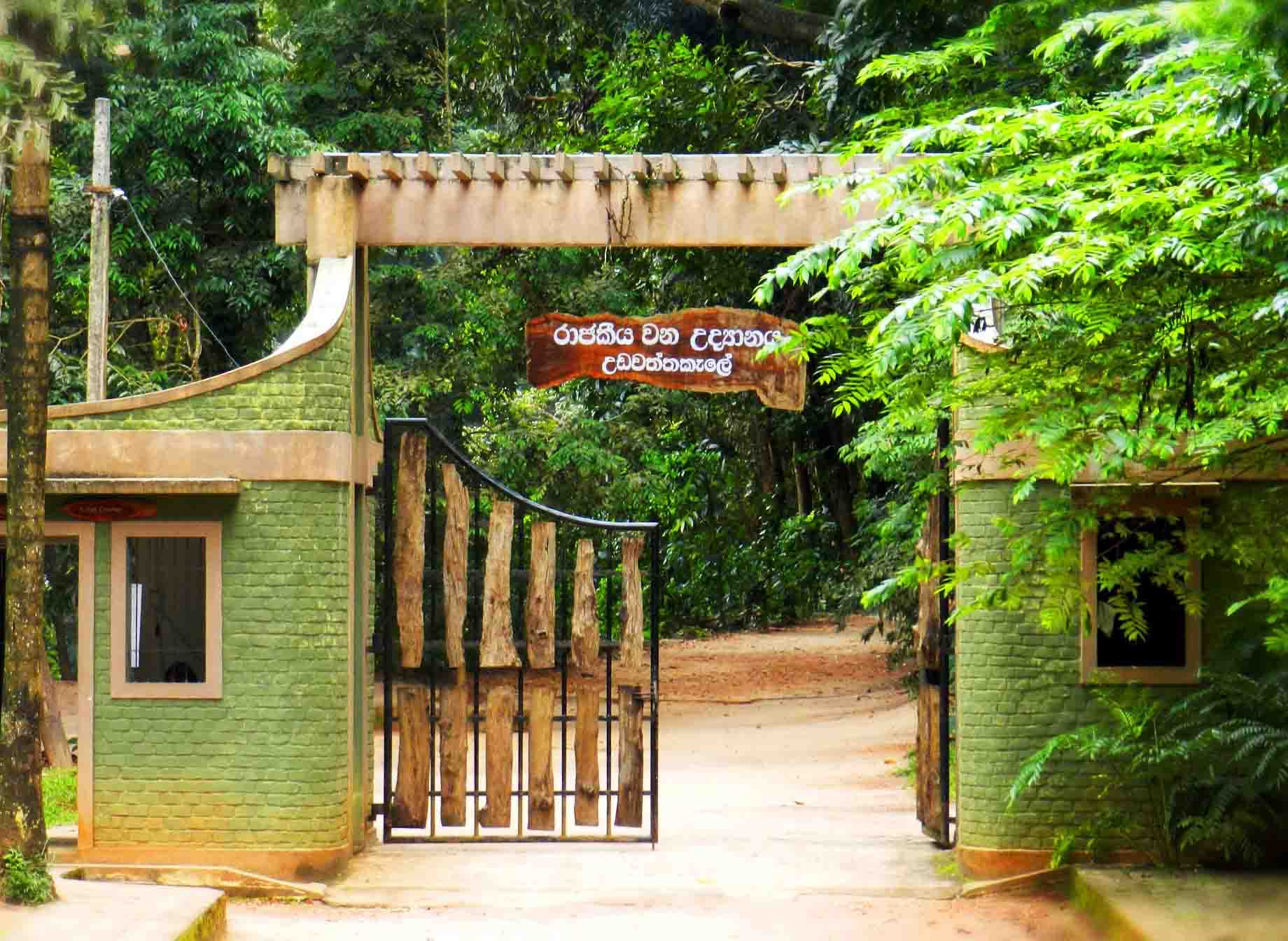 UDAWATTAKELE - KANDY